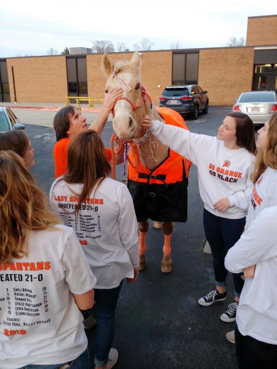 horse and girls petting it